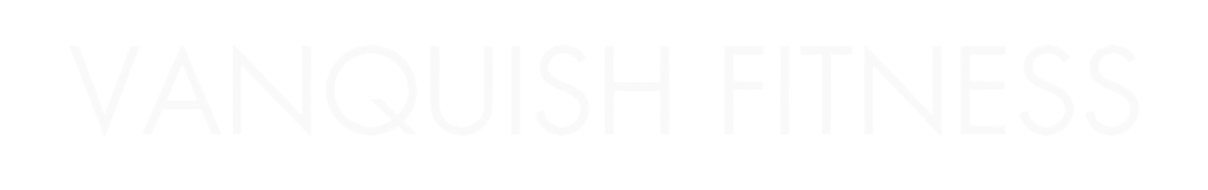 Vanquish Fitness